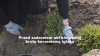 thumbnail_iglaki.png