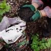 Baileys Veg & Herb Premium Planting Mix image 5