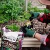 Baileys Veg & Herb Premium Planting Mix image 3