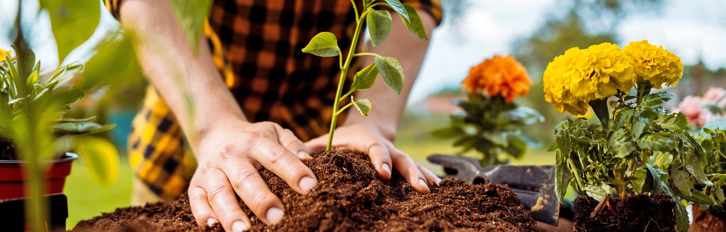 Image for Tool overview