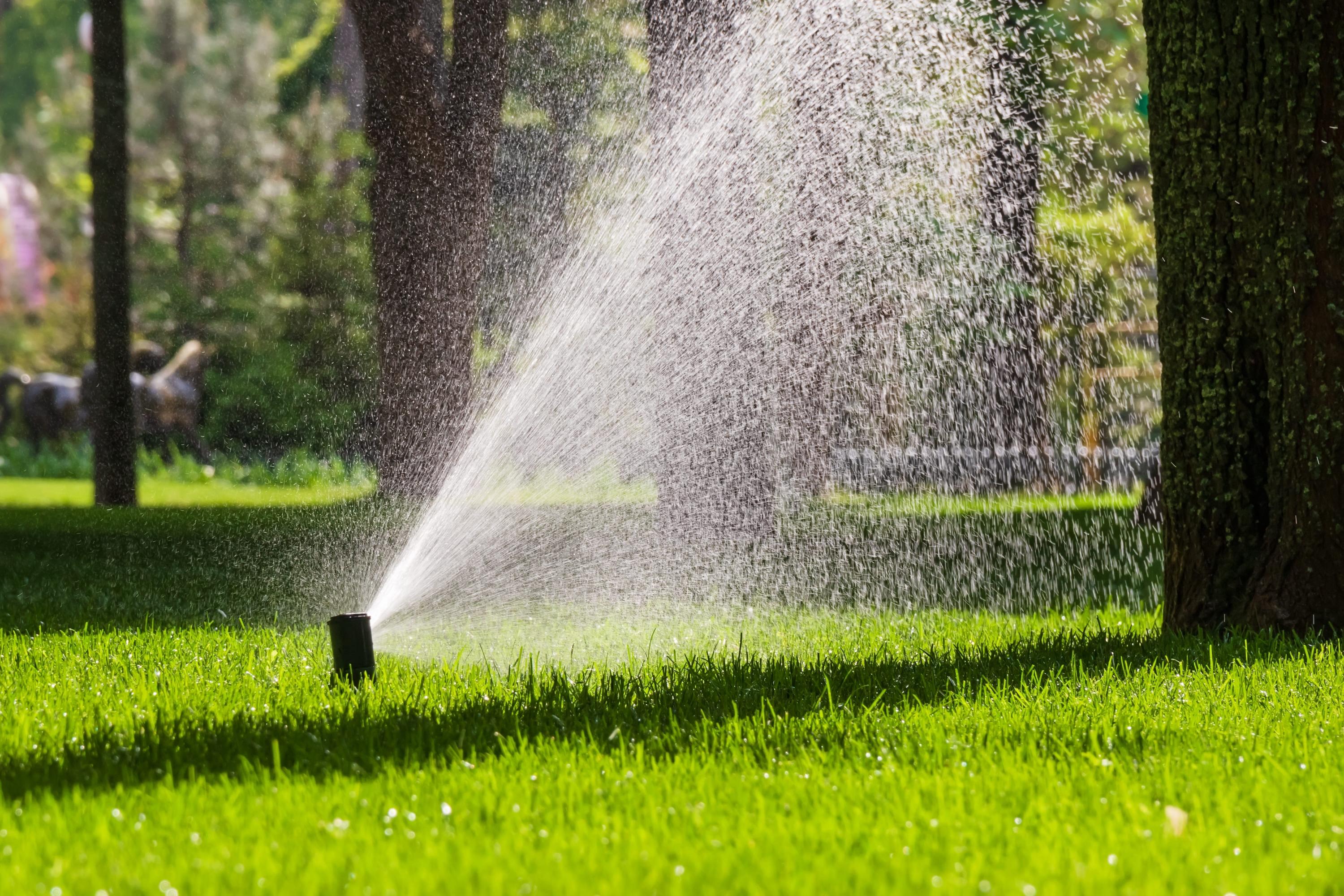 Sprinkler system spraying water across a green lawn.