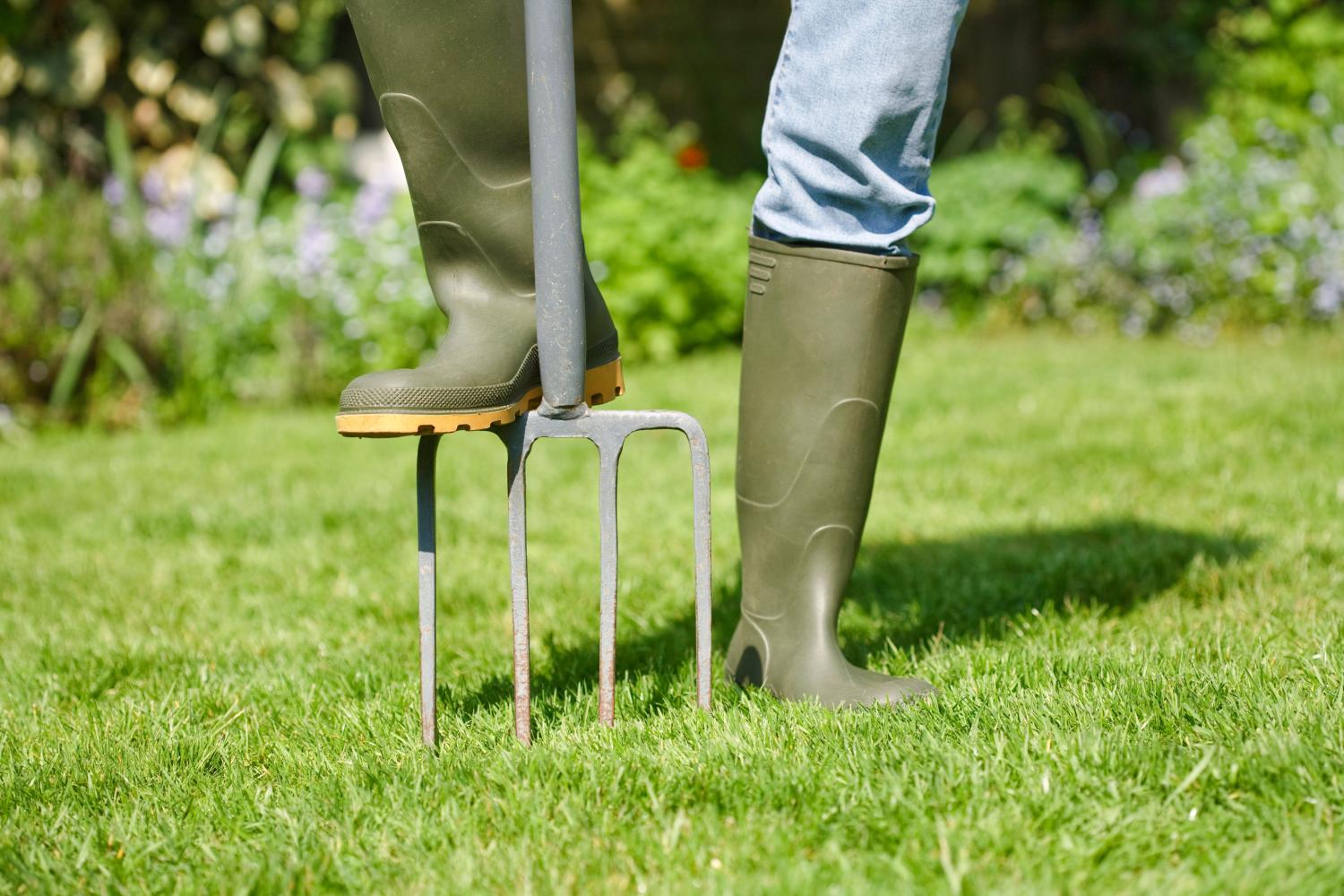 Lawn aeration: how and when to aerate for a healthy lawn
